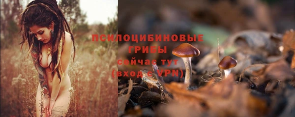 соль курить ск Алексин