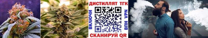 ОМГ ОМГ ССЫЛКА Петрозаводск ТГК жижа