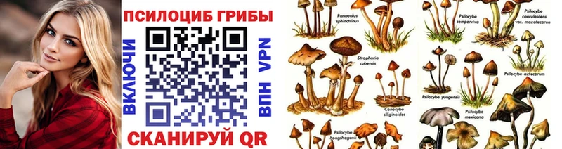 купить  цена  Петрозаводск  Псилоцибиновые грибы Psilocybe 