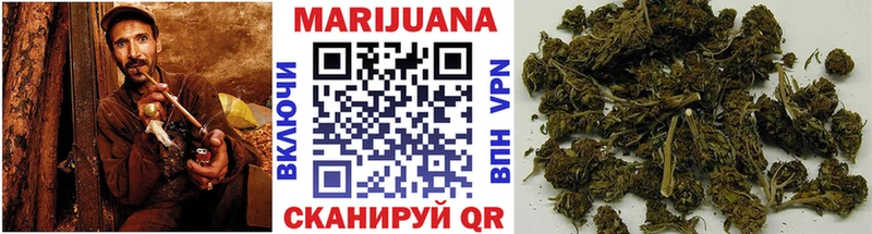 купить наркотик  сайты даркнета телеграм  Бошки Шишки гибрид  Петрозаводск 